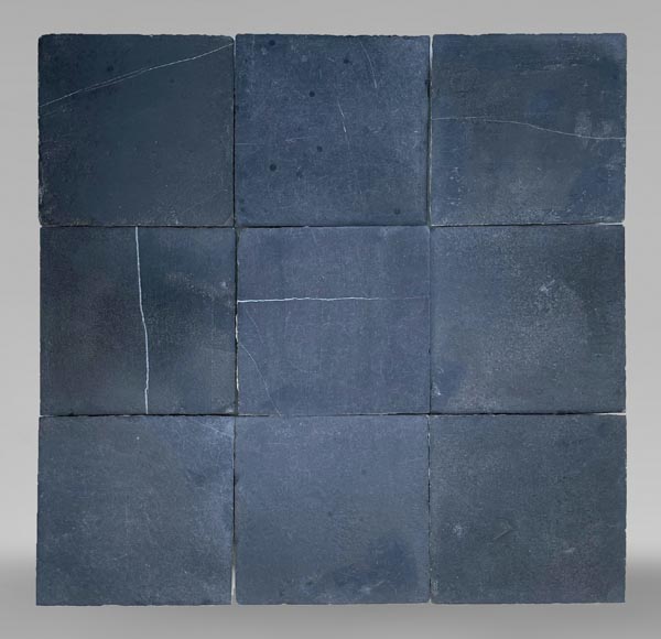 重要的来自比利时苏瓦尼区的280平方米黑色石地板，十九世纪-3